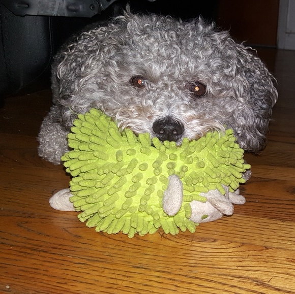 Meet your Posher, Doris - Picture 3 of 3